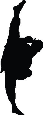 Martial Arts Sports Non-Wall Damaging Wall Decal
