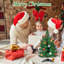 Arbre de Noël artificiel de table vert 17,7 pouces avec support en plastique Mini pin de Noël pour la décoration intérieure et extérieure