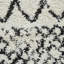 Machine Woven White/Black Rug-93557895