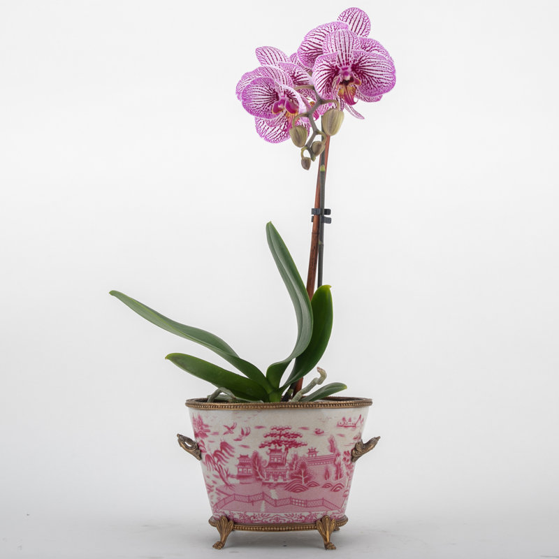 Handmade Planter