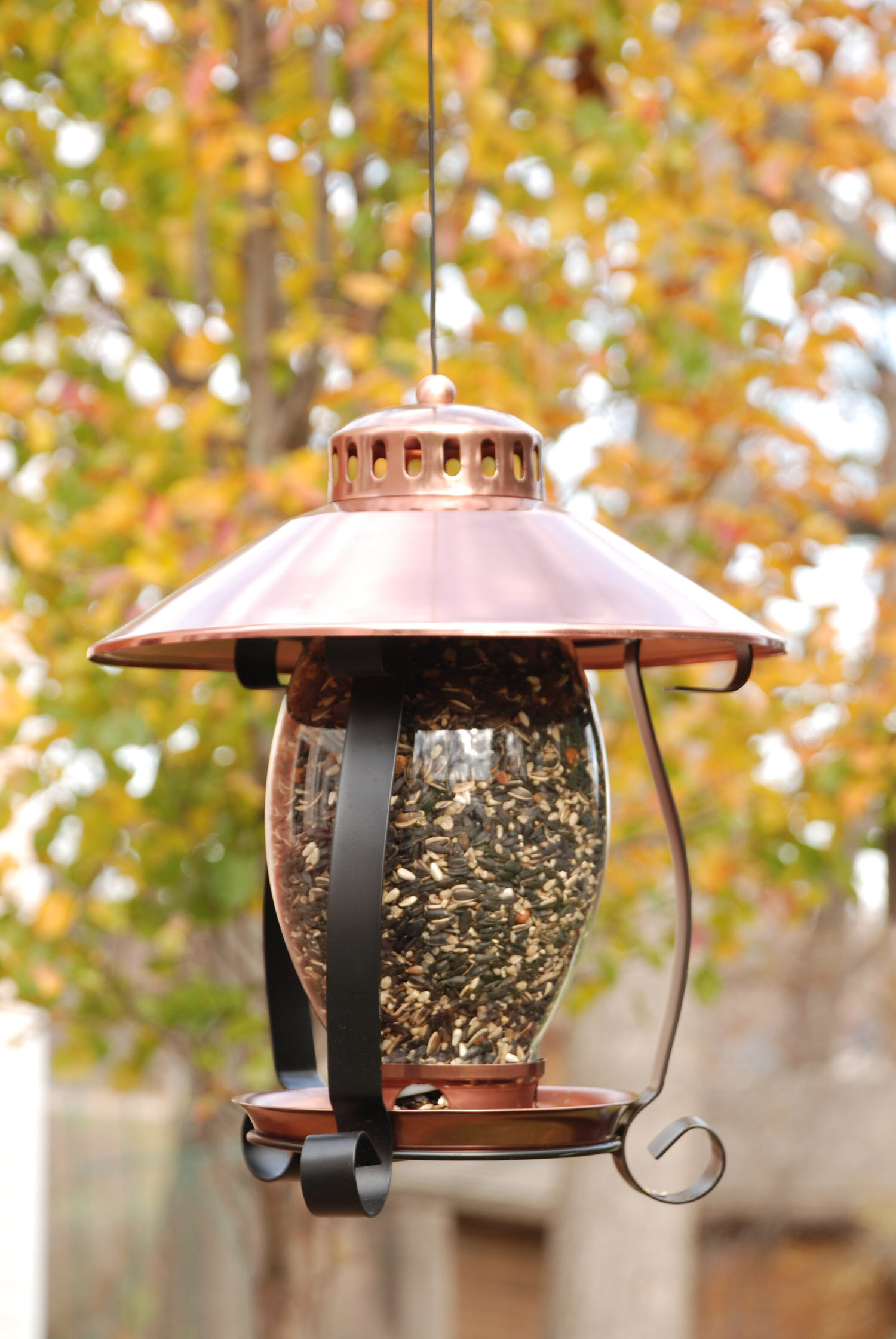 Enhance Your Garden with a Decorative Bird Feeder