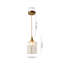 1 - Light Brass Pendant