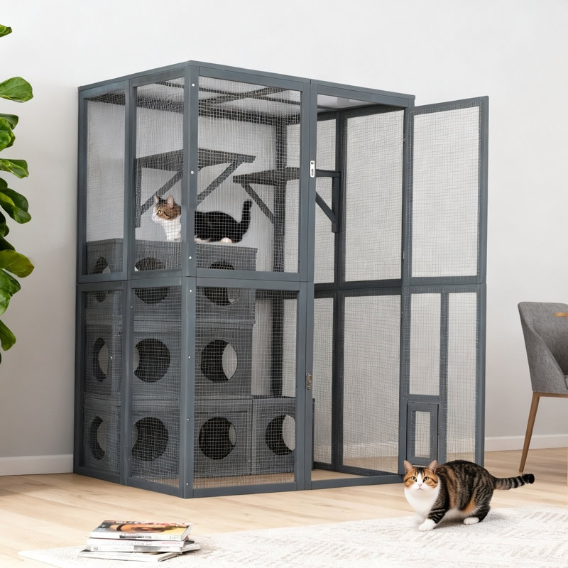 Aire de jeu polyvalente pour chat avec protection contre les intempéries et boîtes amovibles