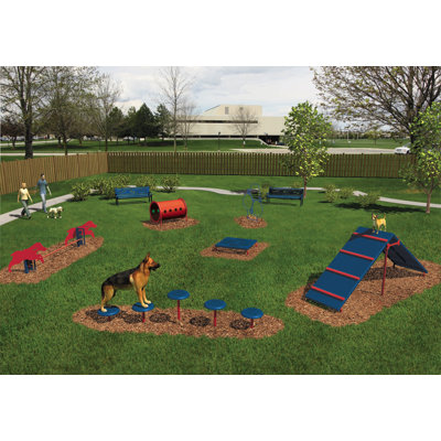 6 Piece Intermediate Barkpark Kit