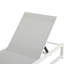 Ensemble de 2 chaises longues d'extérieur en aluminium avec dossier réglable à 5 niveaux et filet en textilène durable pour la piscine-433573769