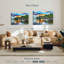 Gillard Anse Champagne Palm Beach-108707497