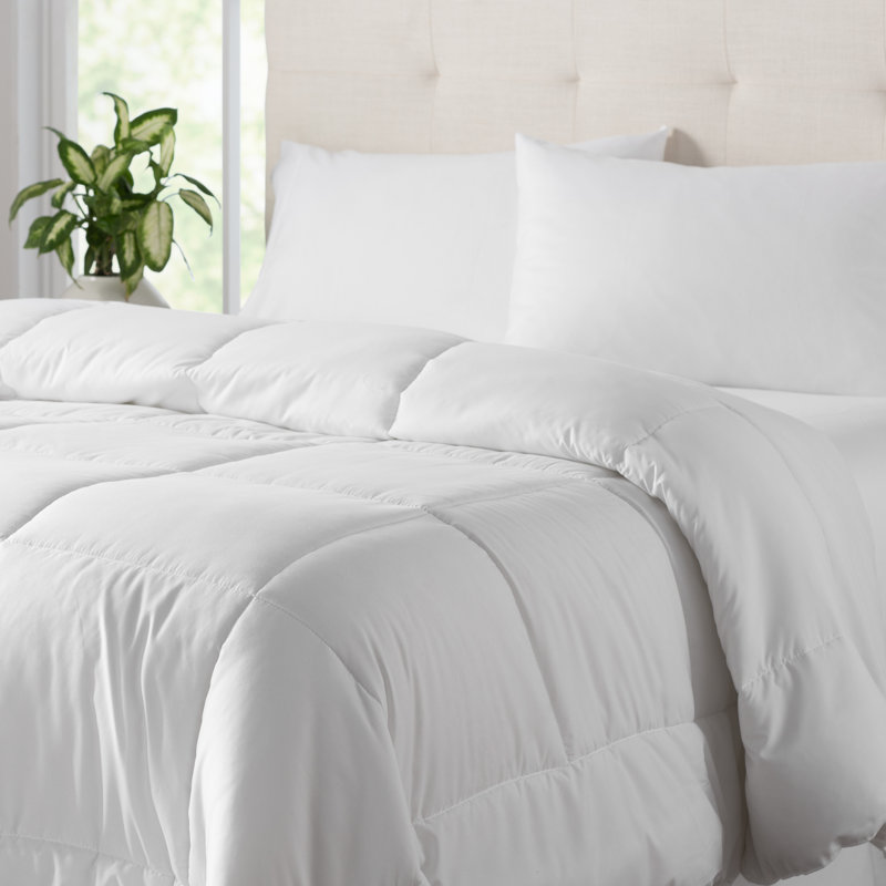 Édredon en duvet synthétique toutes saisons - Basics by Wayfair ™, Blanc, Simple