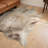 Charlize Cowhide Animal Print Indoor Rug-1863328909