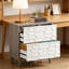 Classeur 2 tiroirs, armoire de rangement spacieuse