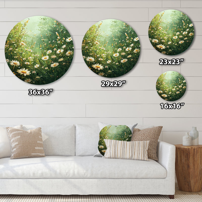 «White Country Daisies Dream», impression murale ronde en métal sur fond blanc, H 16 po x l 16 po