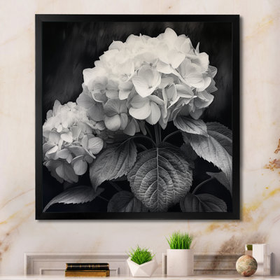 Hortensia gris et blanc II - imprimé
