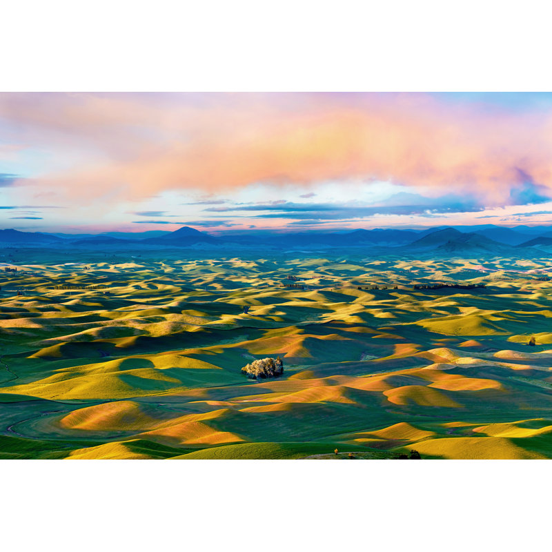 Farmscape Photo II by James McLoughlin - Photograph, 81cm H x 122cm W, Wrapped Canvas