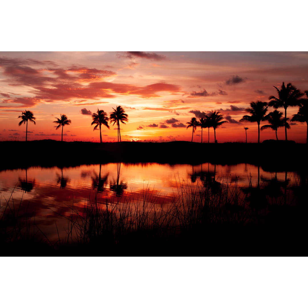 Tropical Sunset - Wrapped Canvas Photograph