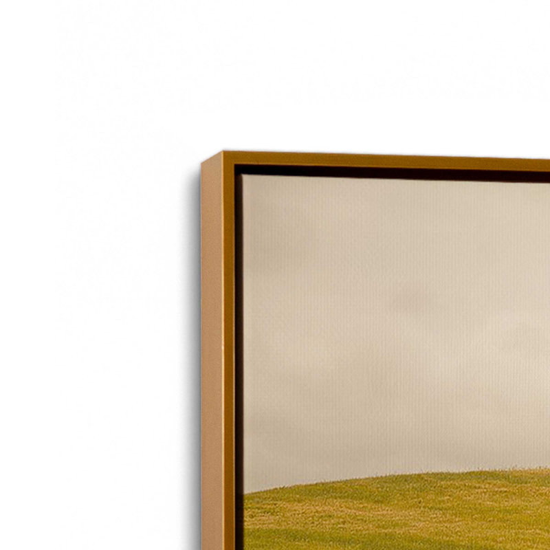 «Tuscan Fields», reproduction sur toile, Cadre flottant or poli, H 14 po x l 20 po x P 1,75 po