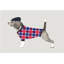 Asher Print by Emma Brooks-26929053