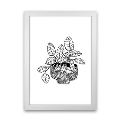 Peppermint by Carissa Tanton - Print