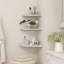 Efrem Floating Shelf