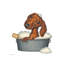 Dachshund Bath - Print on Canvas-1860830240-1867025513