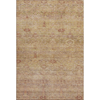 Premium Machine Washable Mayfield AMF2090 Global Rug