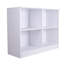 80cm H x 100cm W Bookcase