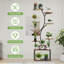 Plant Stand - Set of 11