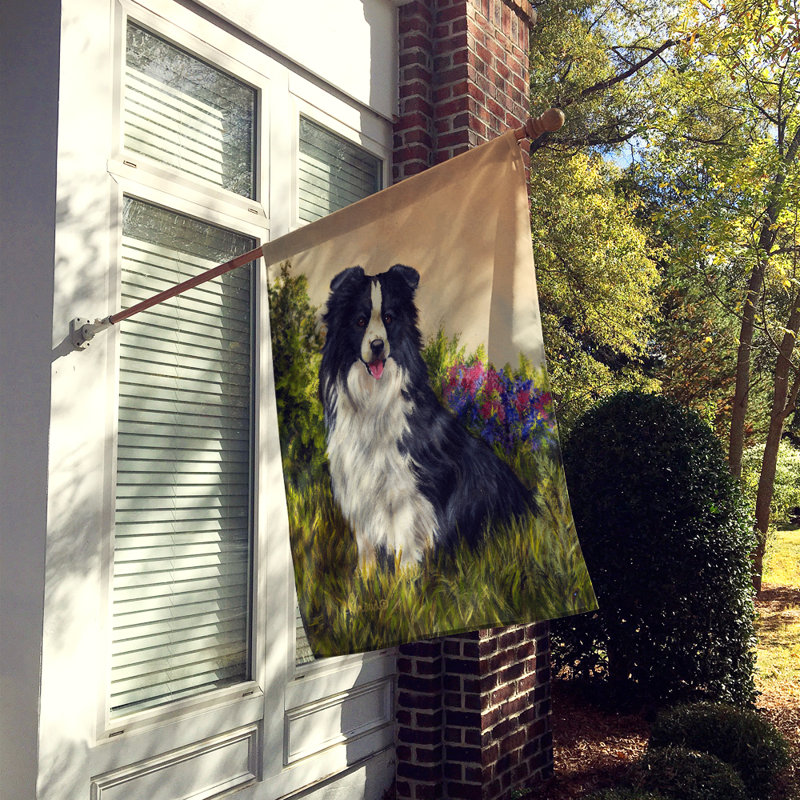 Drapeau de maison Hvidovre Sheltie Halloween en polyester à 2 faces 3 x 2 pi, Border collie simplicité