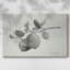 Toile tendue Limonero I-Gallery-187486139