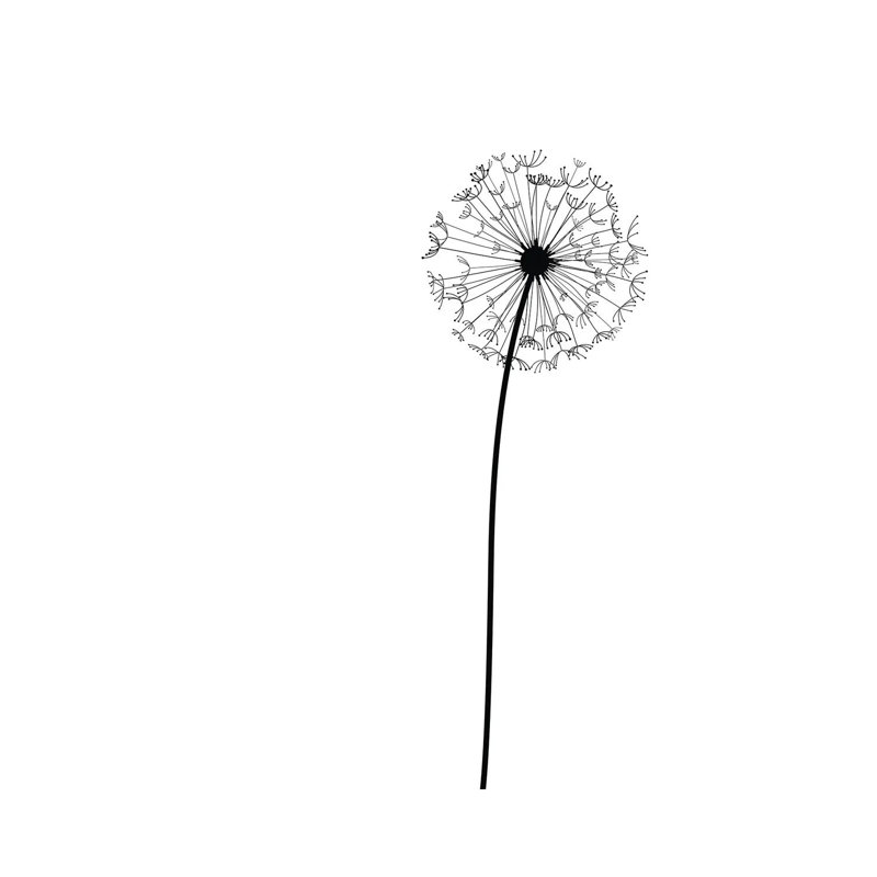 Modern Dandelion by Nordic Print Studio - Gallery-Wrapped Canvas Giclée on Canvas, Wrapped Canvas, 20.32 cm H x 30.48 cm W