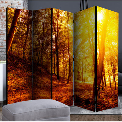 Manase 172 cm H Solid Wood Folding Room Divider