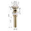 8.46" SUS304 Stainless Steel Bathroom Sink Drain，Pop Up Drain with Overflow for Bathroom Sink-101084899