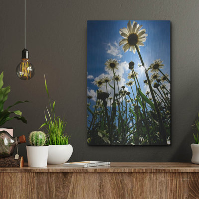 Lark Manor™ 'Reach For The Sky' by Rick Berk, Metal Wall Art