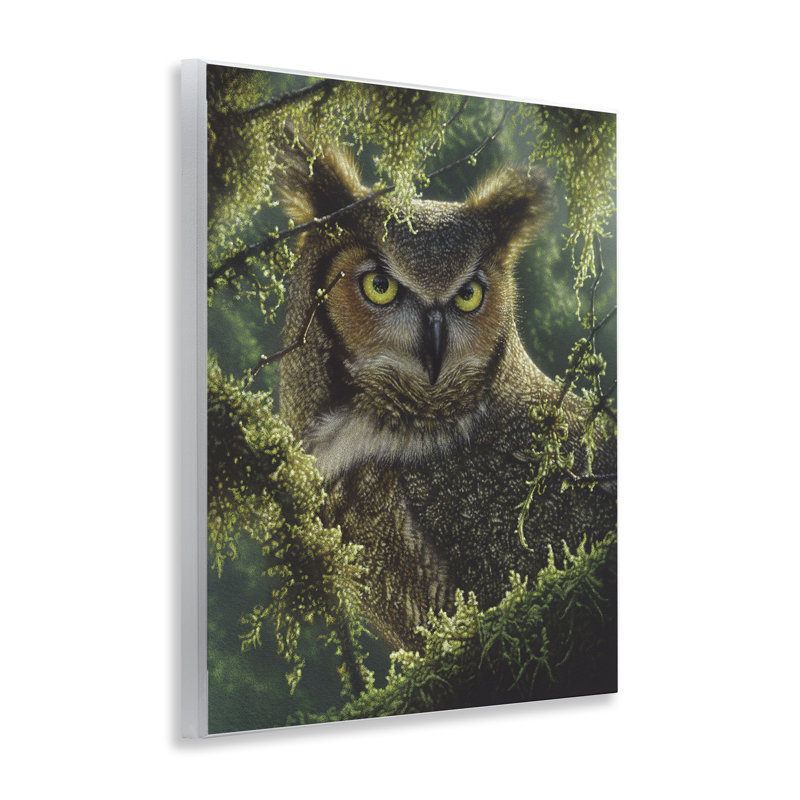 «Watch And Waiting Owl», plaque murale par Collin Bogle