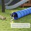 Dog Agility-124016484
