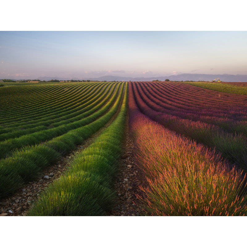 Wrapped Canvas Print, 50.8 cm H x 76.2 cm W