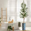 68 plantes-95099219-138916969