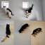 Escalier pour chat 2 pièces