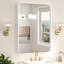 Aluminium Mirror-1925818182-1925818177-1925818193