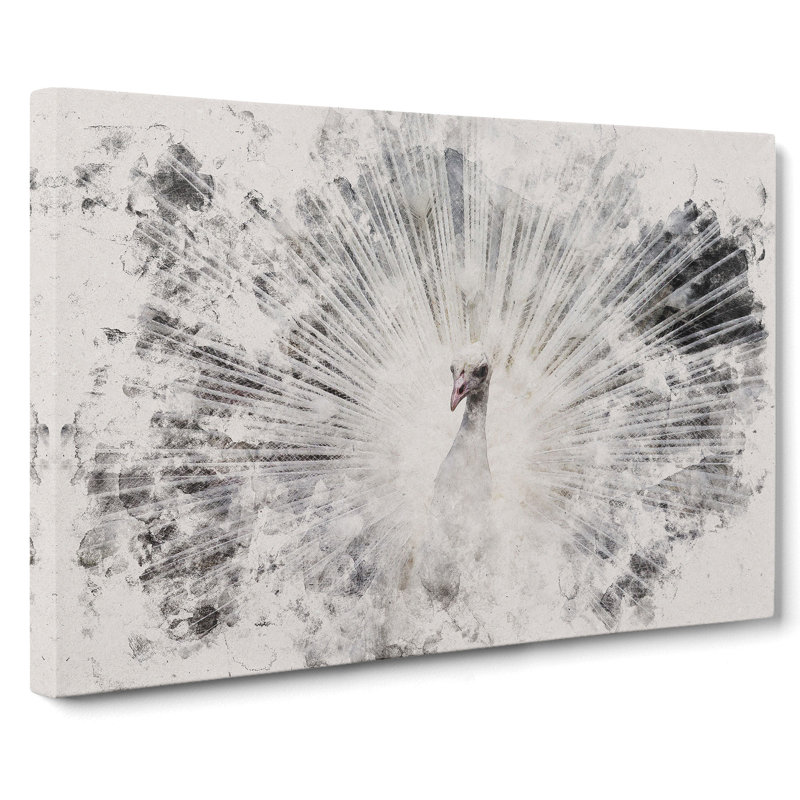 White Peacock Watercolour - Wrapped Canvas Print, 35cm H x 50cm W x 3cm D