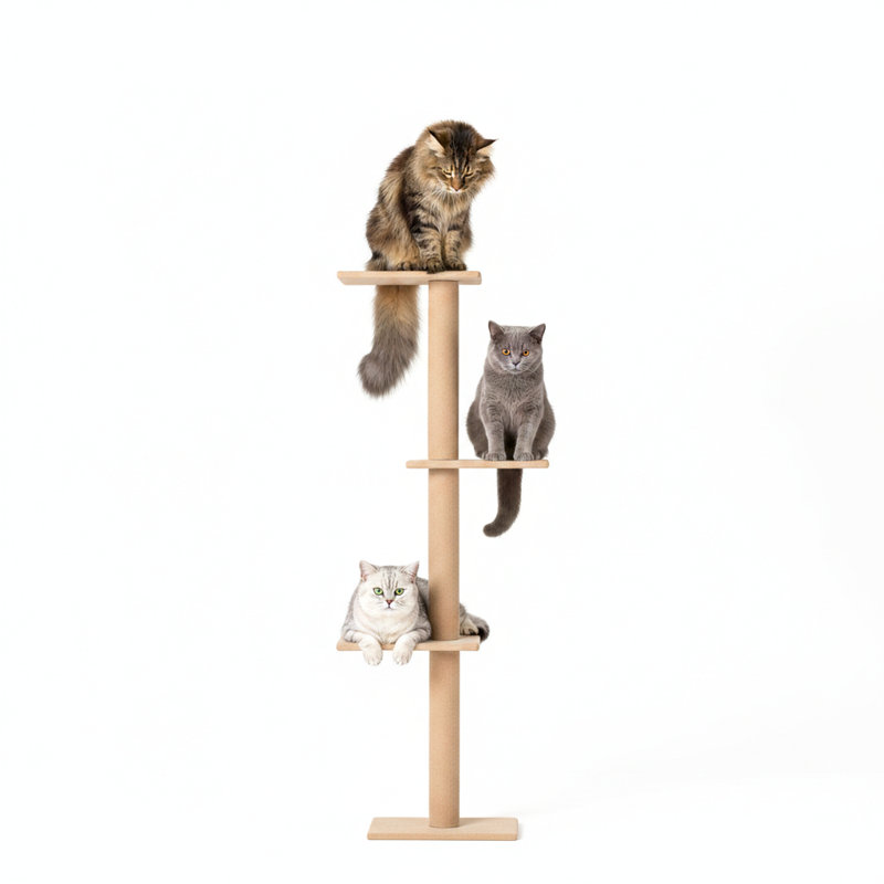 Arbre à chat, centre d'activité complet pour chat