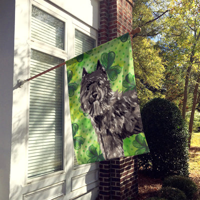 Double Sided 40'' H x 28'' W Polyester Animal House Flag