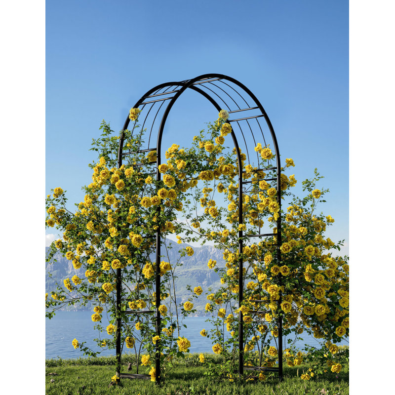 Metal Garden Arch Trellis, 150x240cm Black Steel Arbor with Ground Stakes, Rust-Resistant Wedding Archway for Climbing Plants & Ceremony Decor