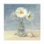Art sur toile, coquillages et coquillages bolognaise-105717813