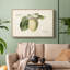 «Vintage Botanical - XLV» sur toile-1308361226-1308361227