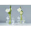 Glass Sphere Bud Vase-768581685