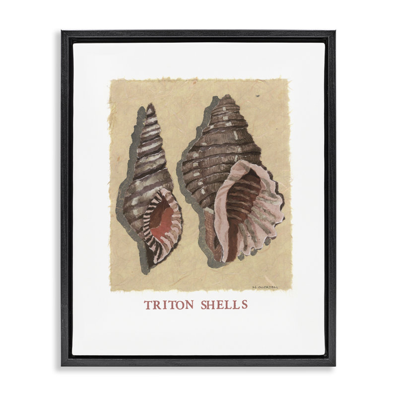 Triton Shell Pair Floating Frame, design by Nancy Overton, Jet Black Floater Frame, 21" H x 17" W