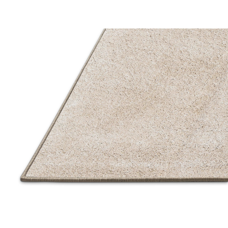 Tapis contemporain brun clair, Rectangle 2 pi x 5 pi