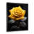 Black Single Picture Framed selected