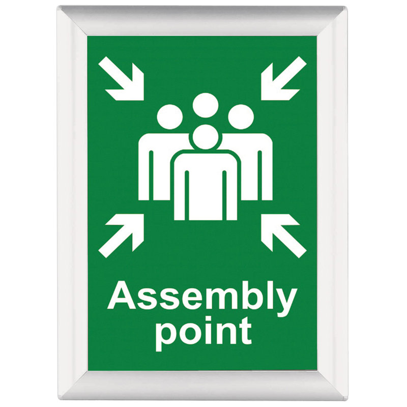 Busygrip Coloured Poster Frame, Green, 59.4  cm H x 42 cm W