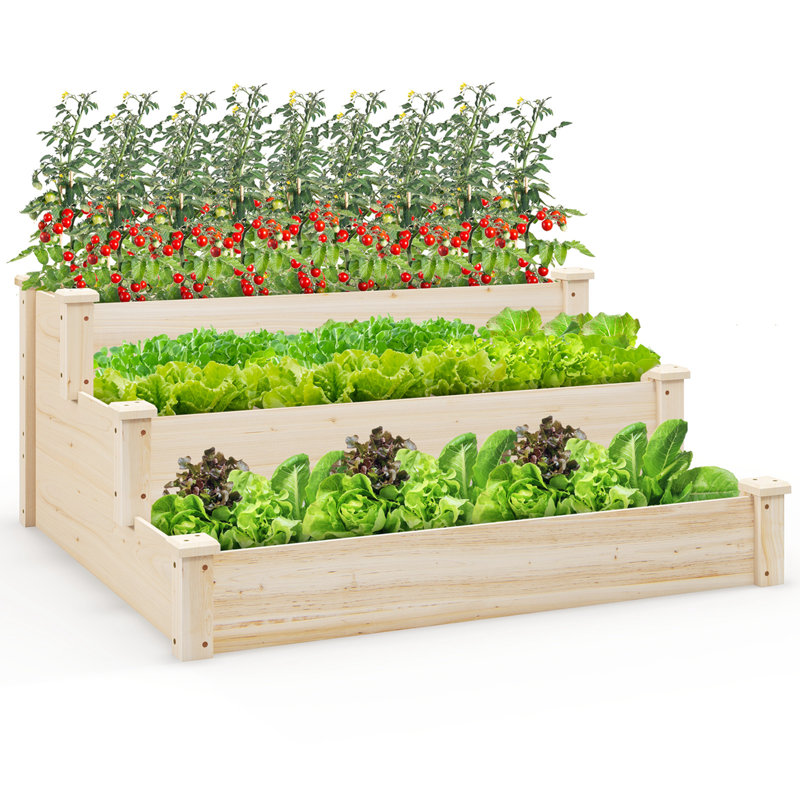 Arlmont & Co. 3-Tier Wooden Raised Garden Bed With Open-Ended Base Growing Planter For Backyard