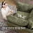 44.49" Accent Chair With Ottoman-1958480867